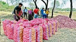 Odisha government steps in to check distress sale of onion