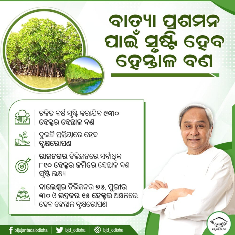 Odisha increases mangrove forest cover for cyclone mitigation