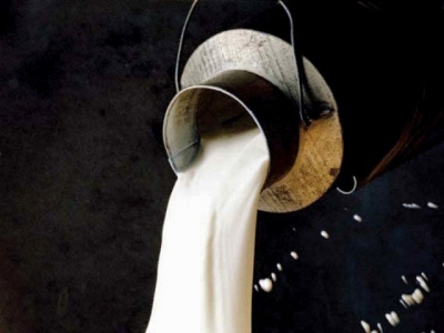 Odisha Records 22 Per Cent Growth in Milk Output