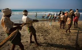 50,000 fishermen to get ID cards by June-end in Odisha