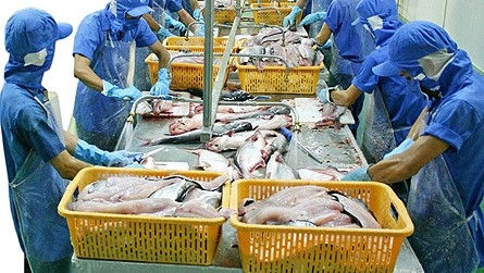 Odisha eyes Rs 3,000 cr from seafood exports during current financial year
