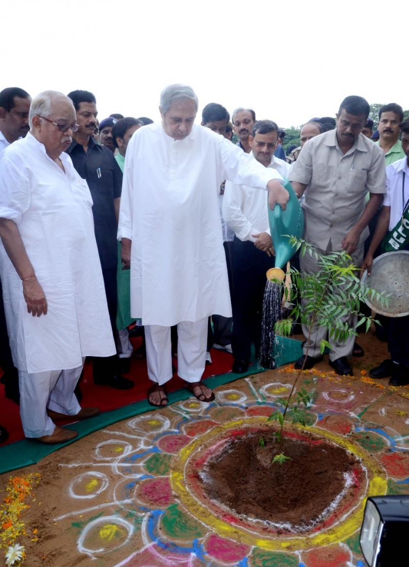 Odisha to plant 50 lakh saplings on July 7