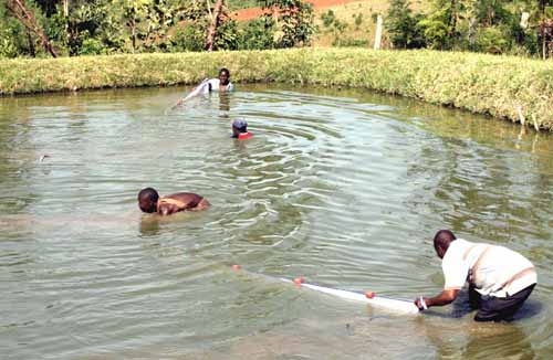 Odisha launched Fish Pond Yojana to boost fresh water aquaculture