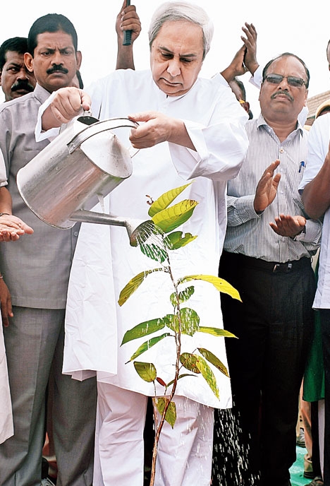 Odisha to plaint 40 lakh saplings