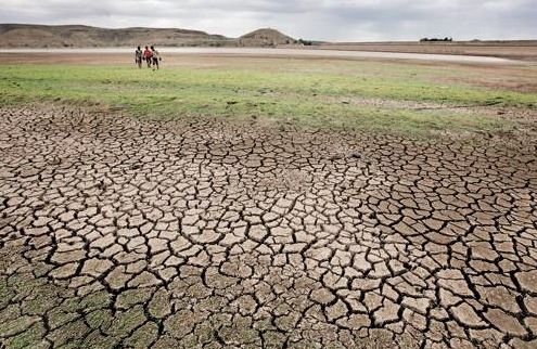 Nine districts declared drought affected; crop loss 33 percent