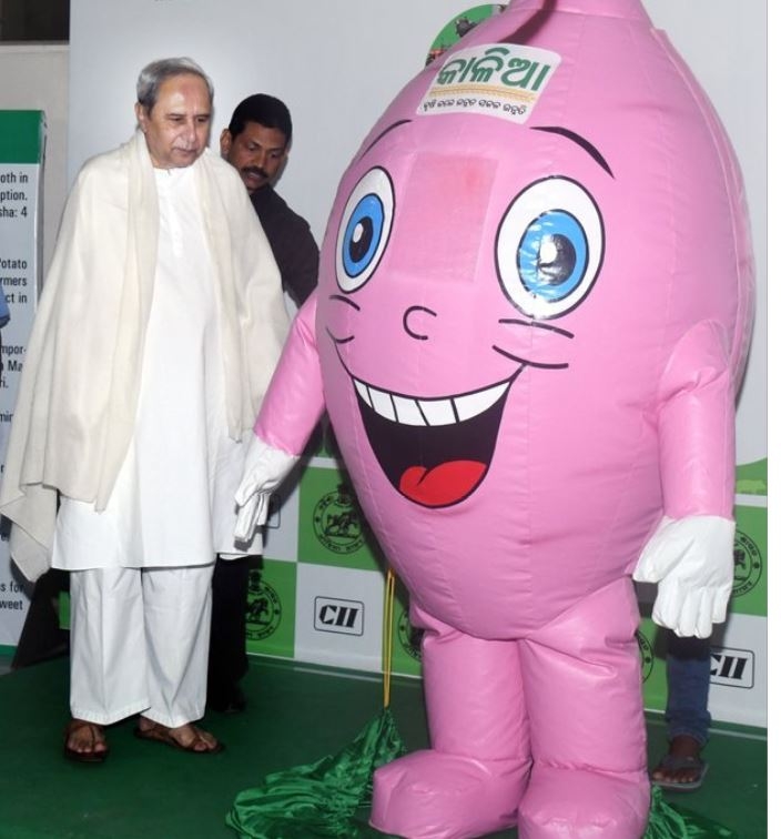 CM unveiled Sweet Potato as mascot for Krushi Odisha-2019