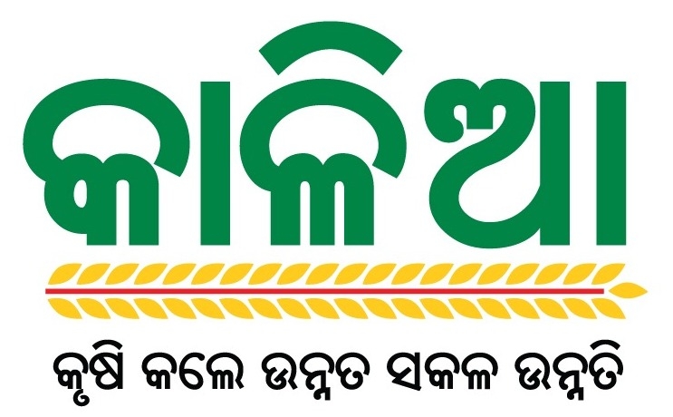 KALIA scheme: Banks instructed not to levy charges in Odisha