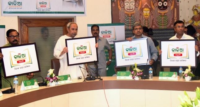 CM launched Kalia scholarship portal