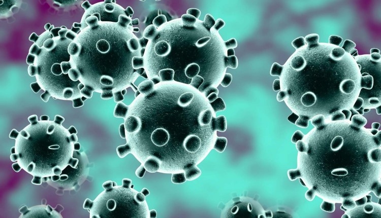 Odisha Govt Prepared to tackle Corona Virus outbreak