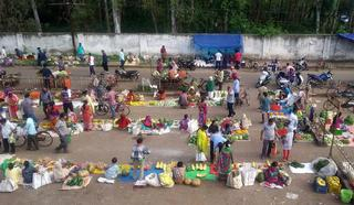 Tribal groups of Odisha make remarkable progress during tenure of Shri Naveen Patnaik